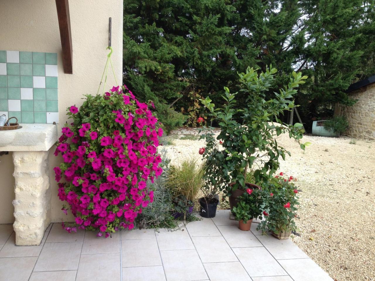 Chateau Haut Baron Hotel Saint-Estephe  Luaran gambar
